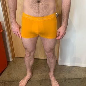 5 pairs of Calvin Klein boxer briefs size large